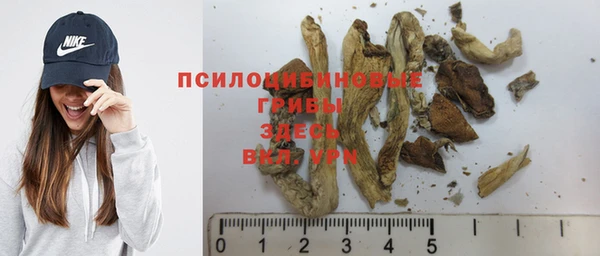марихуана Белокуриха