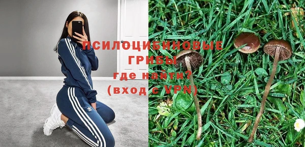 марихуана Белокуриха