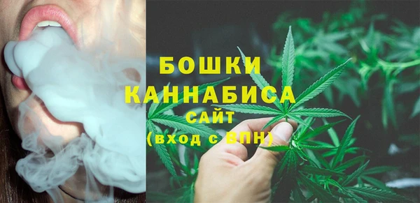 PSILOCYBIN Беломорск